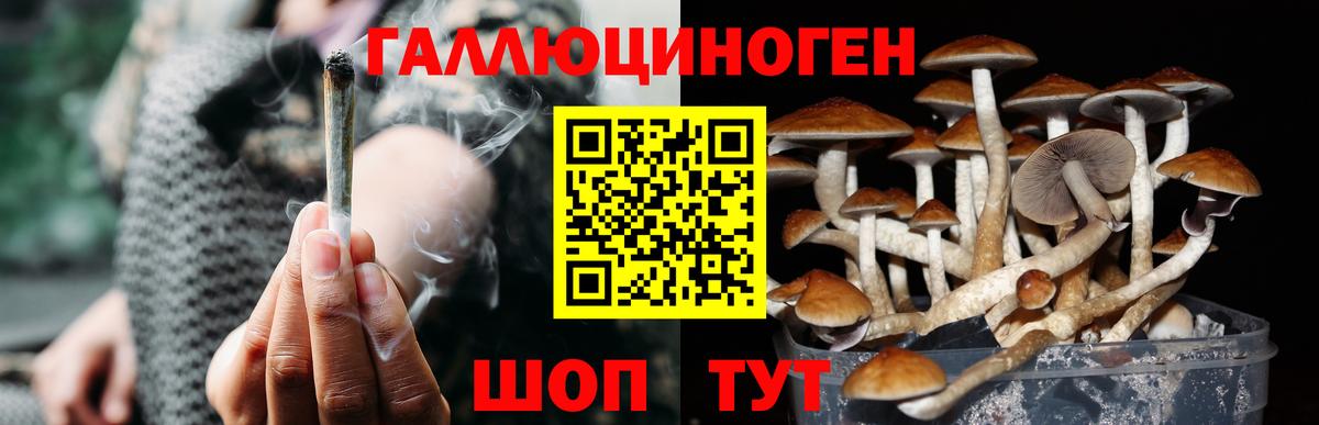 Псилоцибиновые грибы ЛСД  Псилоцибиновые грибы мухоморы  продажа наркотиков  Туймазы  Вход с VPN 